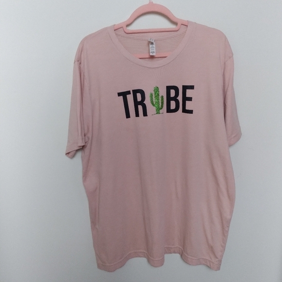 Bella Canvas Oversized Light Pink Cactus Short Sleeve Graphic Tee Shirt Size XL - Picture 3 of 9